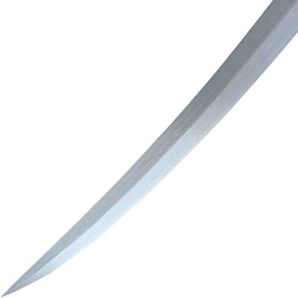 Dark Sentinel Sword
